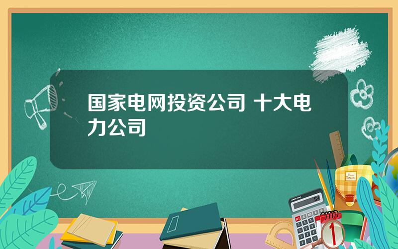 国家电网投资公司 十大电力公司